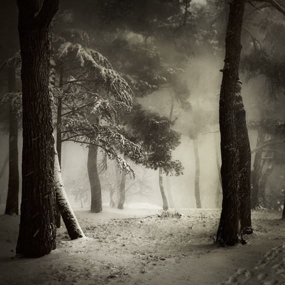 for Ebru
...taken this morning
. Olympus E1. Ps. In Nature, Vegetal, Tree, forest. Snow in Porec, photography by Karmen Orlic Grzetic. Image #176756