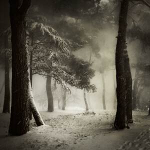 Snow in Porec by Karmen Orlic Grzetic