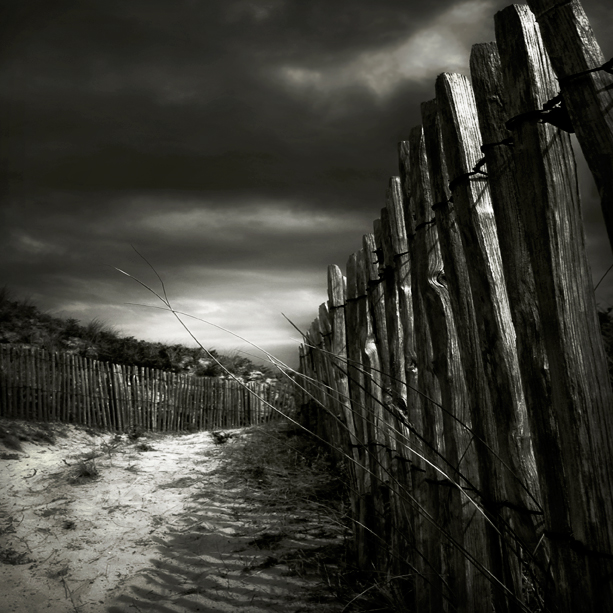 With A Smell Of Sea, photography by Karmen Orlic Grzetic. for Bruno
...Carteret. Olymus E1. ps. In Nature, Scenery, Countryside