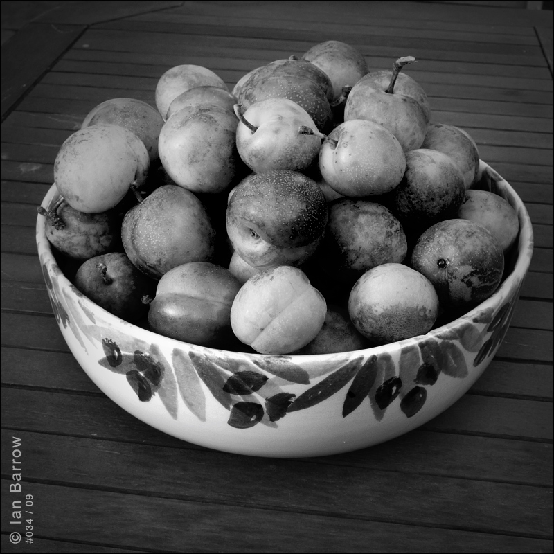 #034_09, photography by Ian Barrow. Panasonic DMC-TZ5