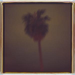 untitled, P45 by Darius Kuzmickas