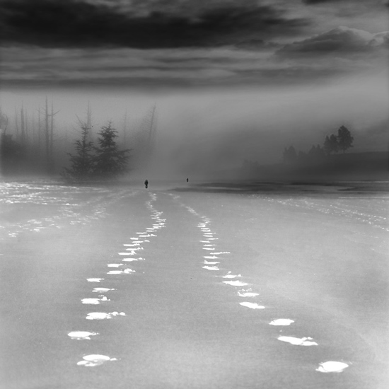 Last night, processing by Christine Amat. In Nature, Scenery