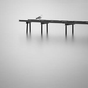 The sentinel, photography by Giovanni Cattabiani. long exposure. In Nature, Scenery, Waterscape