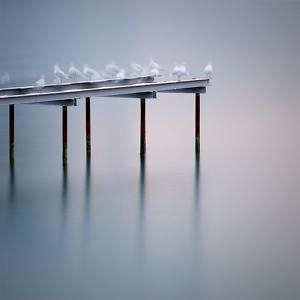 Angels of the sea, photography by Giovanni Cattabiani. In Nature, Scenery, Waterscape