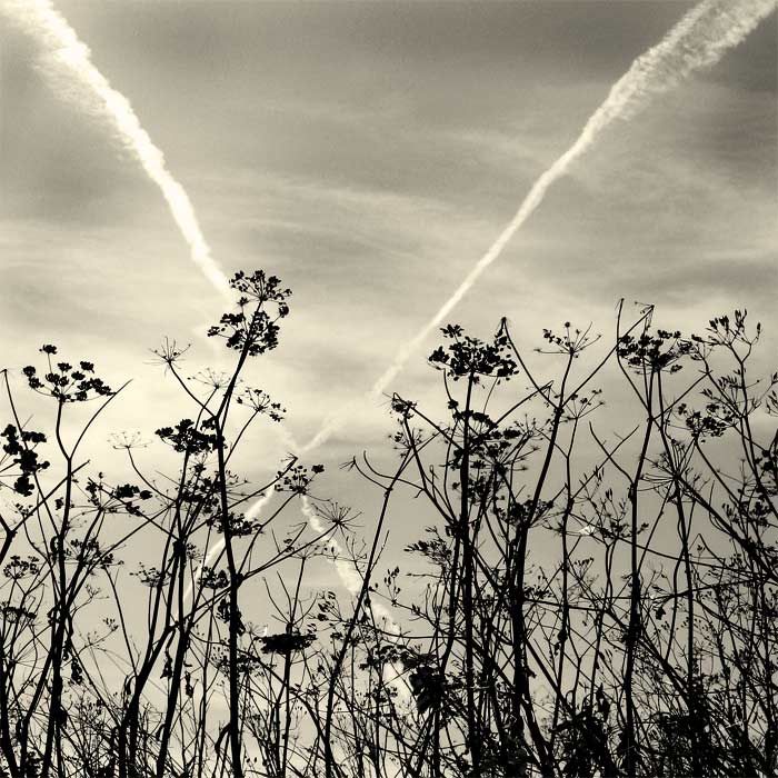 Untitled, photography by Fedoroff Tanya. In Nature, Sky