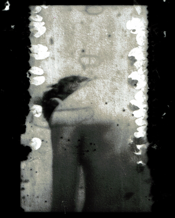 Untitled, Artwork by Silvino Gonz&aacute;lez Morales. Black and white ilford 400 film frozen by almost 3 months, then developed and scanned