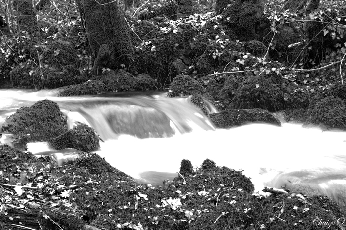 Au Fond Des Bois, photography by Olivier Chaize. In Nature, Scenery, Waterspace