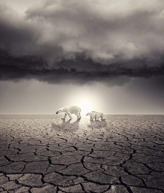 Global Warming, processing by Beltr&aacute;n Luis. In Nature, Animal