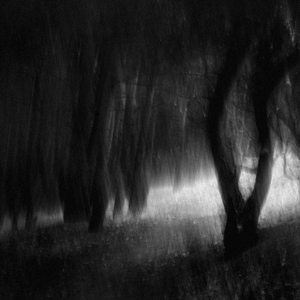 Blackwater Park, photography by Łukasz Cieplak. Pentax K200D + 18-55. In Nature, Scenery