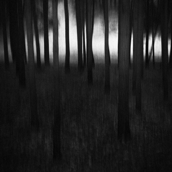 Blackwater Park, photography by Łukasz Cieplak. Pentax K200D + 18-55. In Nature, Scenery
