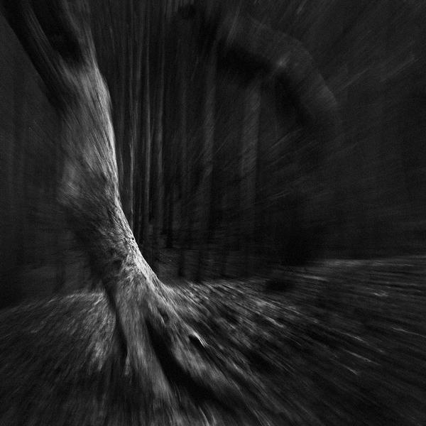Blackwater Park, photography by Łukasz Cieplak. Pentax K200D + 18-55. In Nature, Scenery