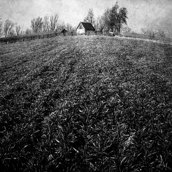 * * *, processing by Łukasz Cieplak. E-400. In Nature, Scenery