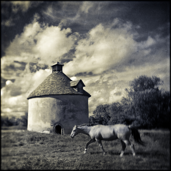 House of Doves, photography by Mark Sadlier. tilt/shift. selective focus. In Construction