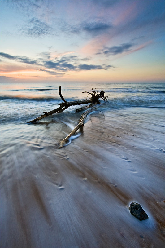 Uprooted, photography by Benjamin Mercer. An uprooted tree trunk lying in the surf at Walton-on-the-Naze in Essex, UK. Taken at dawn.. In Nature, Scenery, Waterscape