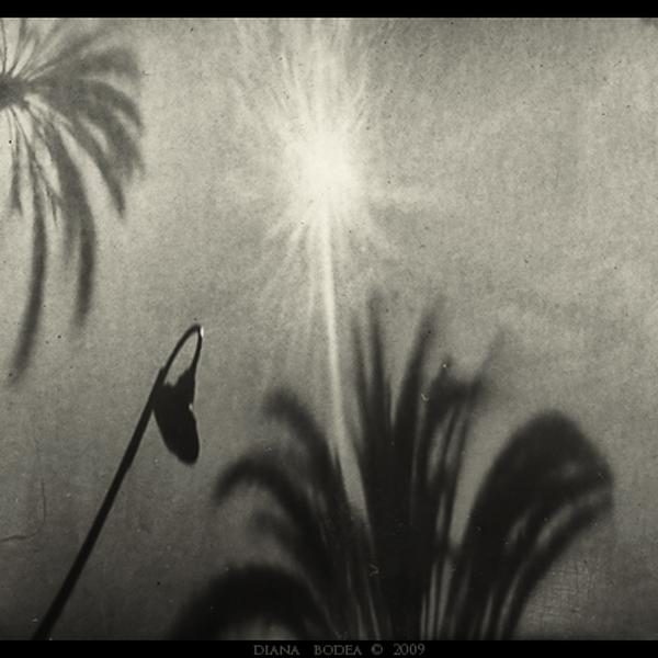 DPOV II, photography by Diana Bodea. - Different point of view - serie. pinhole. In Construction, Cityscape, skyline