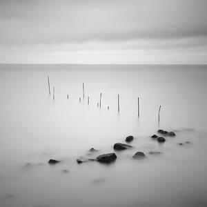 Stones and Sticks by L&eacute;on Leijdekkers