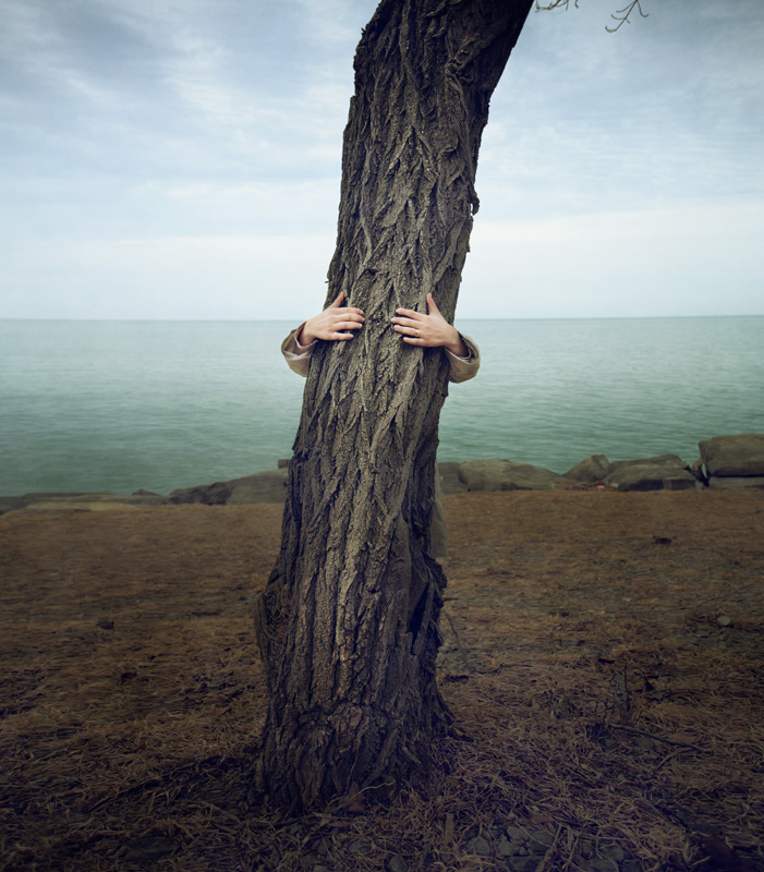 In Nature, Vegetal, Tree, forest. Tree, photography by F J. Image #361281