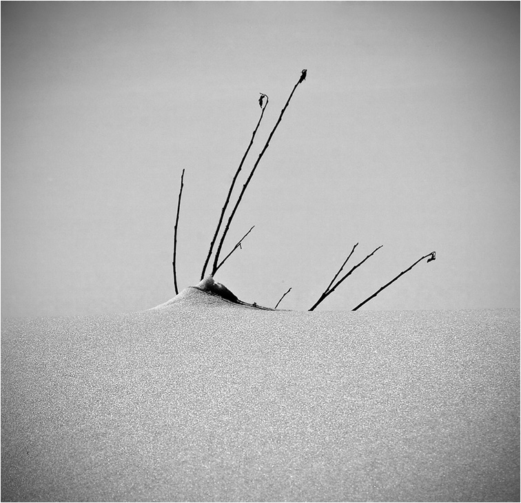 _][/_, photography by Lubov Furs. In Nature, Scenery