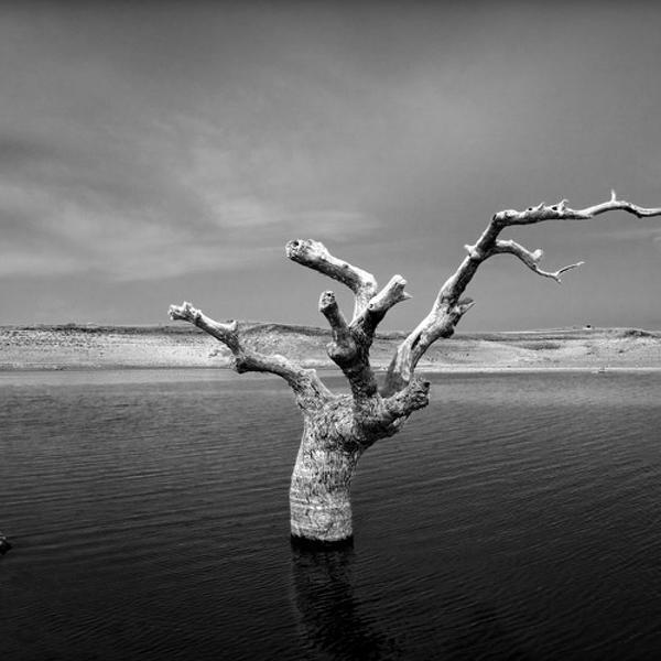Sans Titre, photography by Philippe Duyck. In Nature, Scenery, Waterscape
