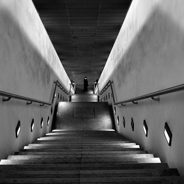 Profundities by Rui Palha