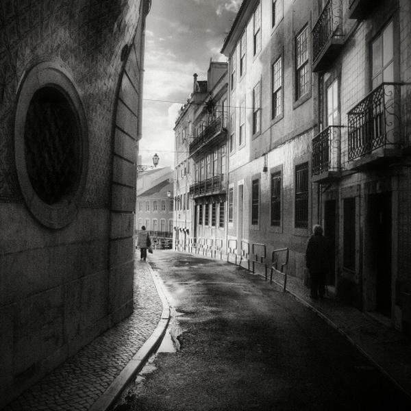 Untitled - Rui Palha