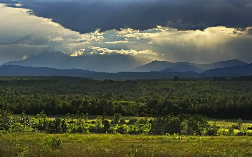 Untitled, photography by Craig Robinson. D2X. In Nature, Scenery