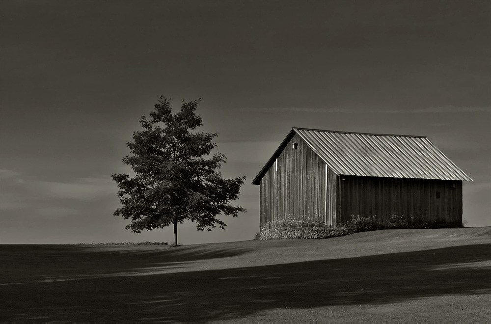 The Two, photography by Craig Robinson. In Nature, Scenery, Countryside