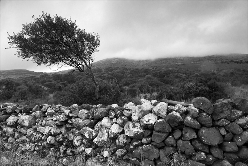 Restriction, photography by Renato Corradi. digital. In Nature, Scenery, Countryside