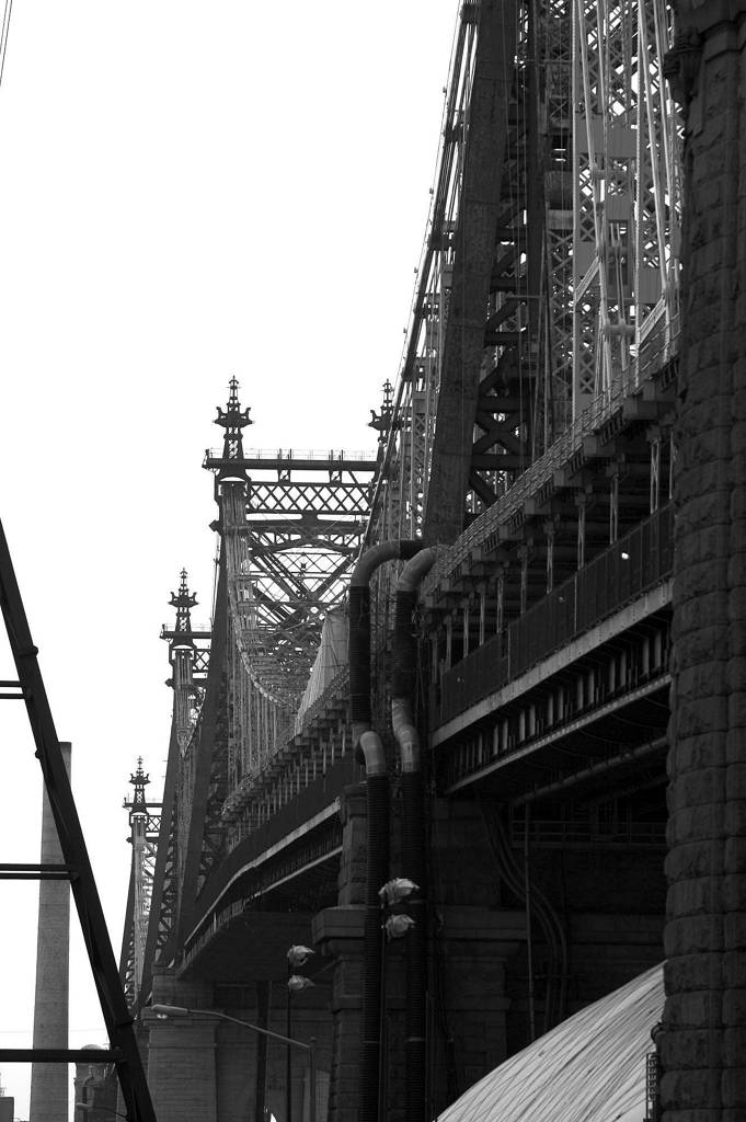 Canon 1D Mark II. In Construction, Cityscape, skyline. Queensborough Bridge, photography by Pietro Bertea. Image #83182