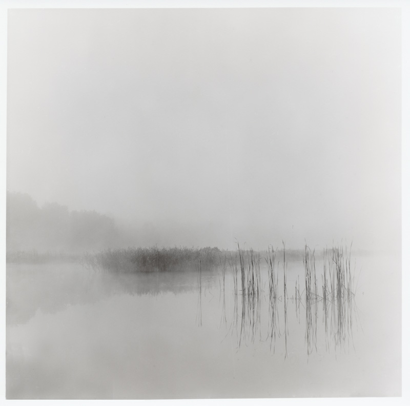 Mist, photography by Zvonimir Ervacic. In Nature, Weather