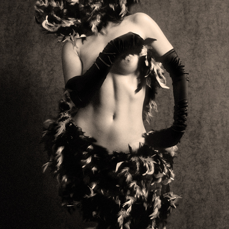 In People, Nude, Female. Feather And Gloves, photography by Alan Cat. Image #387231
