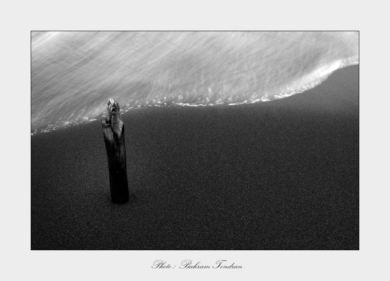 Alone, photography by Bahram Tondran. Canon EOS 50D + Canon 18-55. W/B