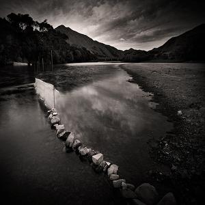 whitebait #2 by Steve Allsopp