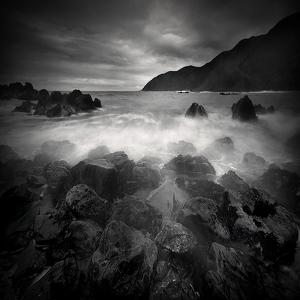 while you were leaving by Steve Allsopp