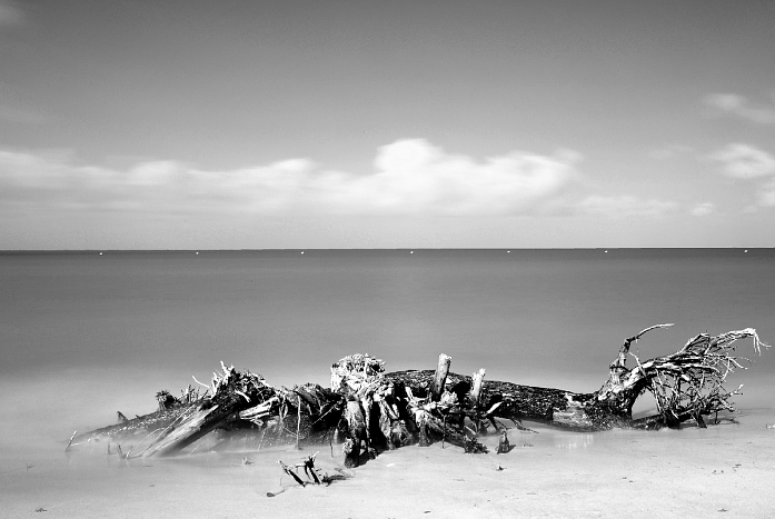 Bois Flott&eacute; Sur L'ile De R&eacute;, photography by Krawa. D3. Pause longue. In Nature, Scenery, Waterscape