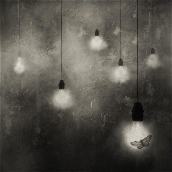 *** by Krzysztof Wladyka