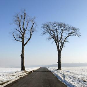 Les 2 fr&egrave;res by Didier Masse