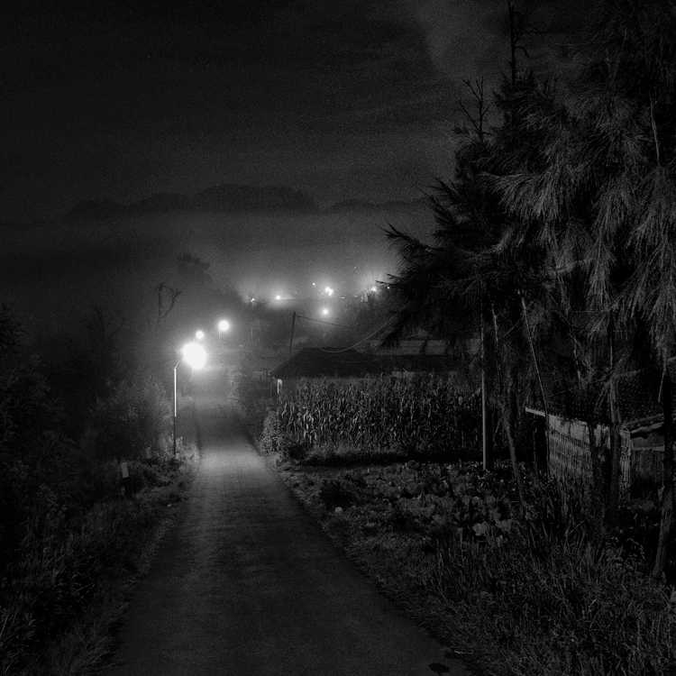 Corn Field, photography by Hengki Koentjoro. In Construction, Street