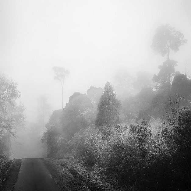 In Transportation, Road, car, cycle. Mist Of Java, photography by Hengki Koentjoro. Image #268536