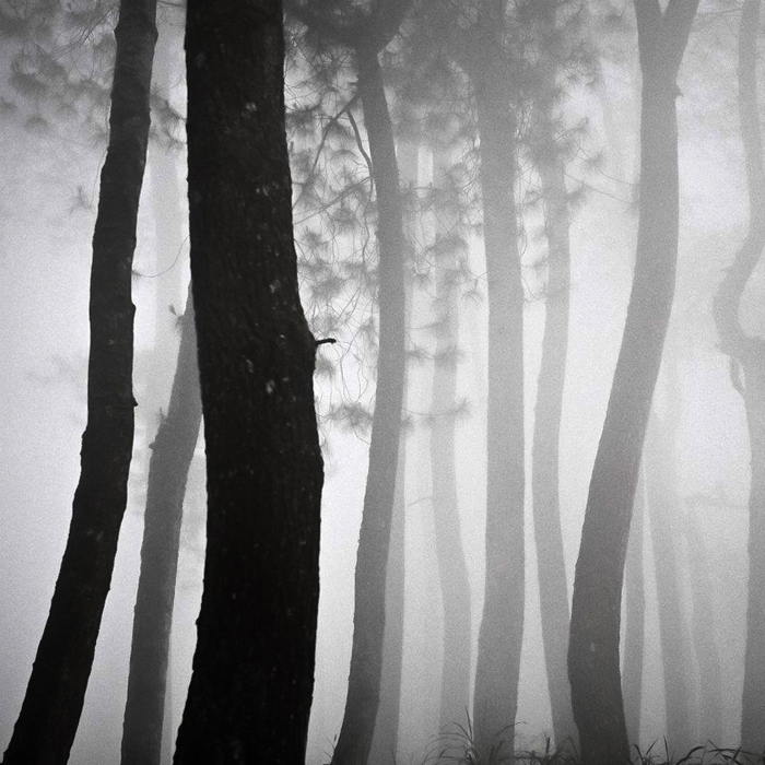 Layers, Artwork by Hengki Koentjoro