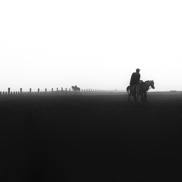 Bromo Highland, image by Hengki Koentjoro. Image #386308