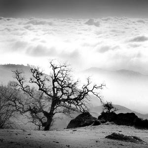 Obispo Highland by Hengki Koentjoro