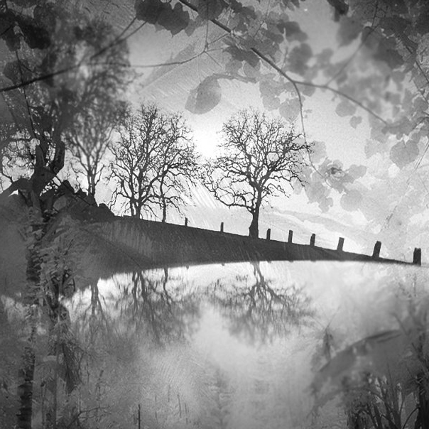 Reflection, image by Hengki Koentjoro. Image #403092