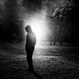Shining by Mara Mitchell
