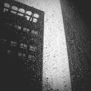 Untitled by Mara Mitchell