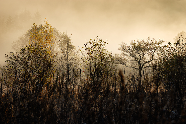 &Agrave; l'heure o&ugrave; brume et soleil s'entrecroisent, photography by Agn&egrave;s Hoclet Zorgani. &copy; Agn&egrave;s Hoclet -Tous Droits R&eacute;serv&eacute;s. Nikon D200 +. Prise de vue num&eacute;rique + Photoshop. In Nature, Scenery