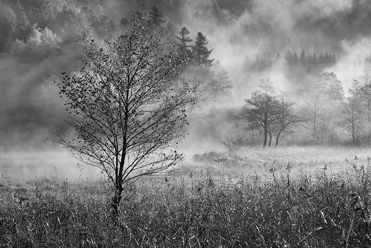 Sewen embrum&eacute;, photography by Agn&egrave;s Hoclet Zorgani. &copy; Agn&egrave;s Hoclet - Tous Droits R&eacute;serv&eacute;s. Nikon D200 + 60 mm. Prise de vue num&eacute;rique + Photoshop. In Nature, Scenery