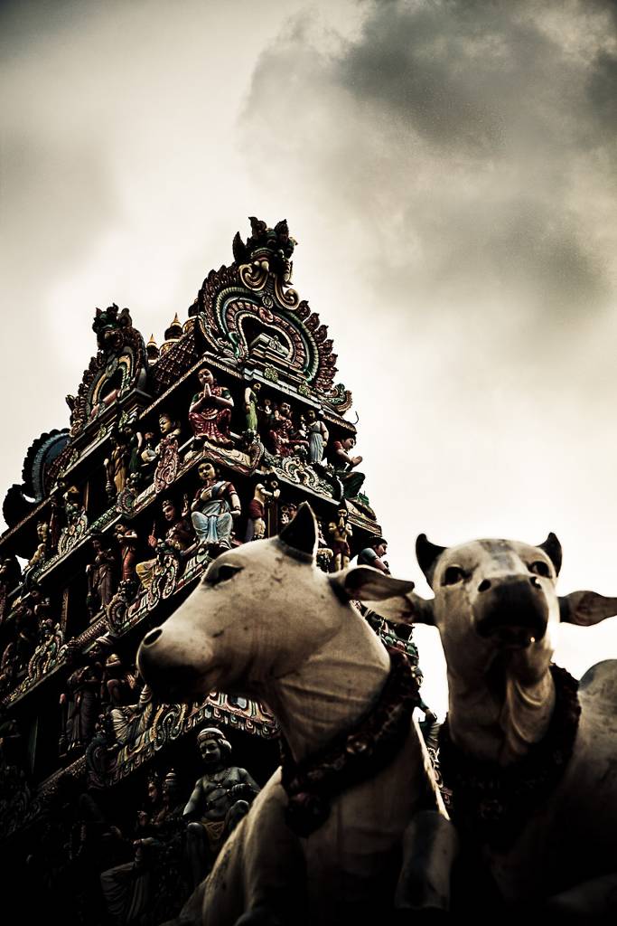 Indian sorrows, photography by Cedric Monnier. EOS 50D. In Construction, Cityscape, skyline