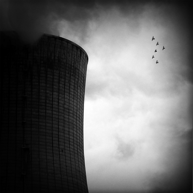 6 Birds, processing by Philippe Debooser. Nikon D200. In Nature, Animal, Bird