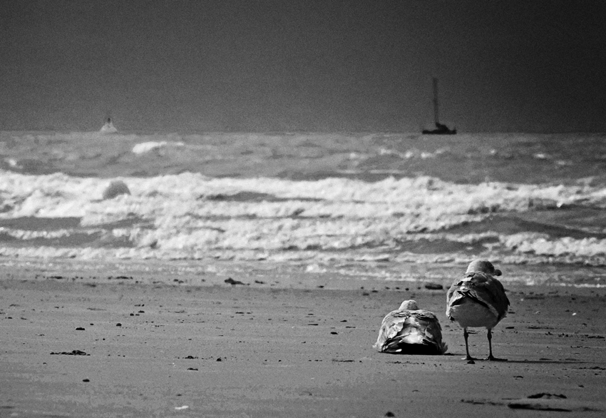 R&ecirc;ves De Voyages, photography by Piet Flour. In Nature, Scenery, Beach